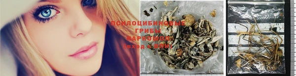 mdpv Инсар