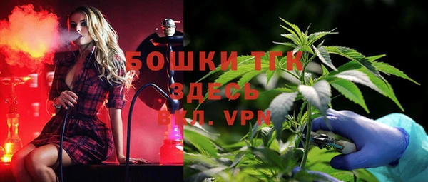 mdpv Инсар