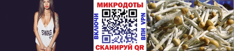 ссылка на мегу сайт Семёнов Галлюциногенные грибы Cubensis наркота