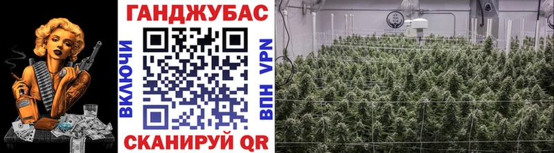 Конопля индика  Семёнов 